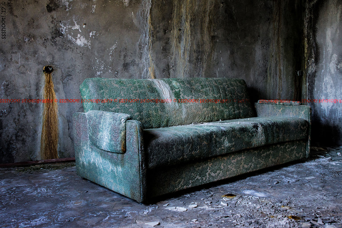 A Night on the Sofa