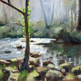 <em>Betws-y-Coed: River Llugwy</em>