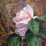 <em>Bloom III: Rose</em>