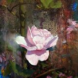 <em>Bloom II; Rose</em>