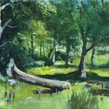 <em>Fallen Log: Betws-y-Coed</em> 8x12ins £160