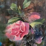 <em>Bloom: Camellia.</em>