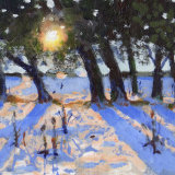 Liverpool painting No.104 St James' Gardens