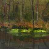 <em>Llyn Elsi Betws-y-Coed. </em> 6x15ins £366