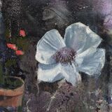 <em> Bloom</em> 6x8ins £90