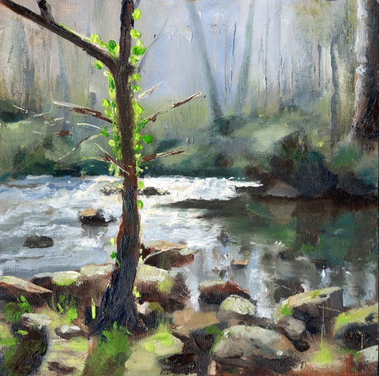 <em>River Llugwy Betws-y-Coed. </em> 8x8ins £256