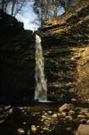 Hardraw Force