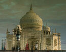 Shimmering Taj