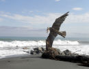 Hokitika