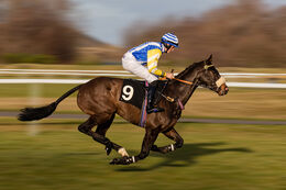 Horse And Jockey