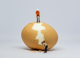 Working On An Egg