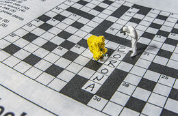 Puzzling