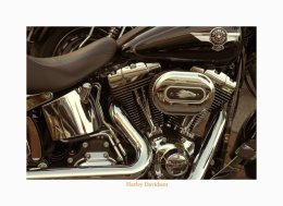 Harley
