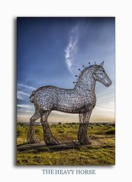 Heavy Horse