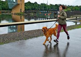 Jogging On