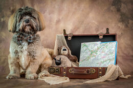 All Packed, But Nowhere To Go