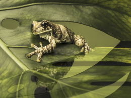 Milkfrog