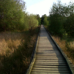 A Bridge Too Far