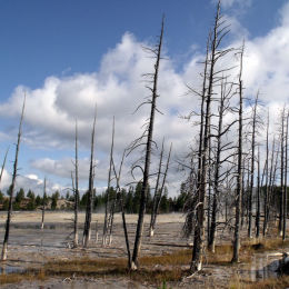 Yellowstone Hot Springs