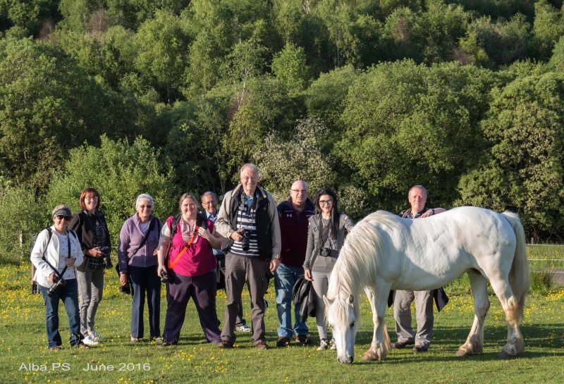Alba members enjoy a summer night outing to Lanark