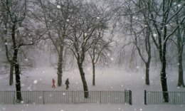 The Blizzard