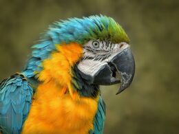 Who's A Pretty Boy Then?