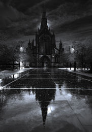 Winter's Night
