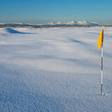 3rd green in the snow