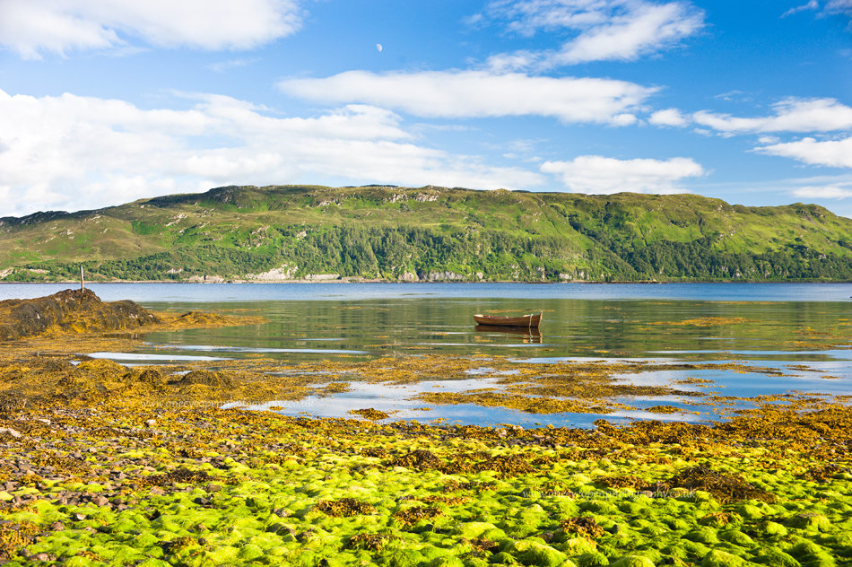 Wee boat
