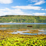 Wee boat