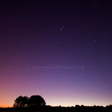 Morning Shooting star