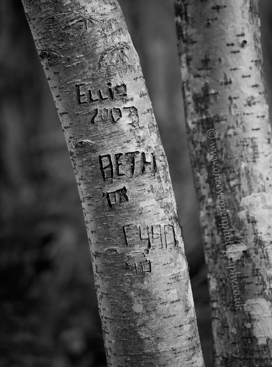 Carved into wood