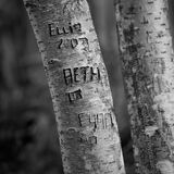 Carved into wood