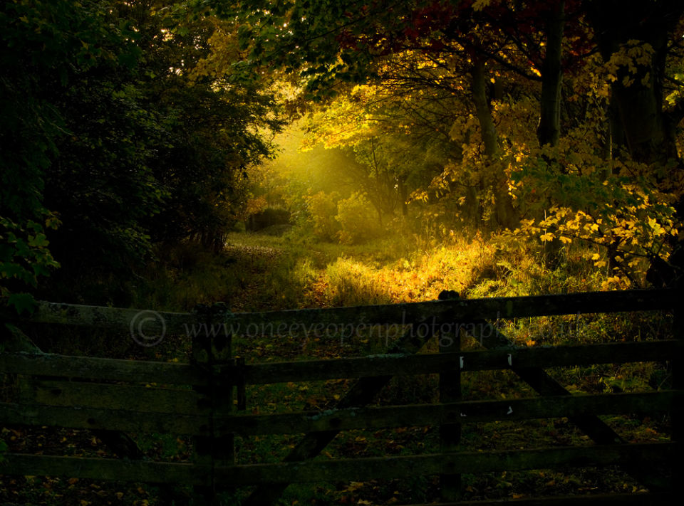Last autumn