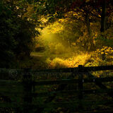 Last autumn