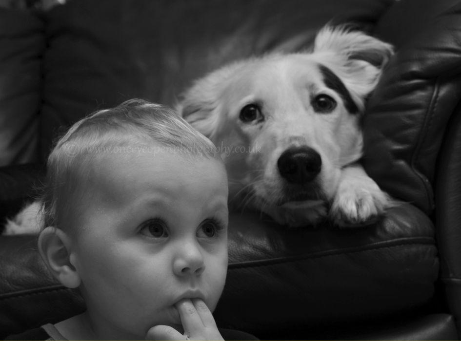 boy and dog