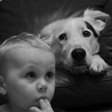 boy and dog