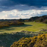 11th Royal Troon