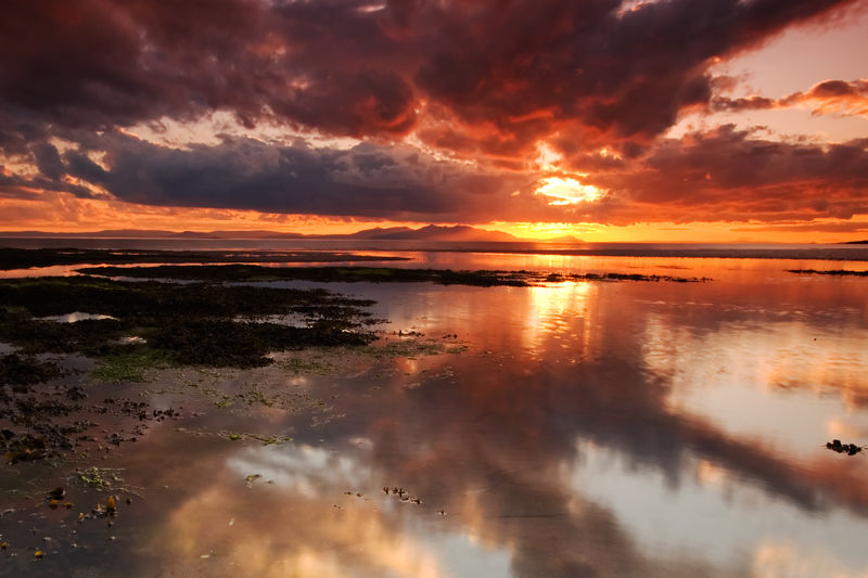 reflection