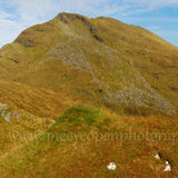 Ben Lomond from Ptarmigan Ridge