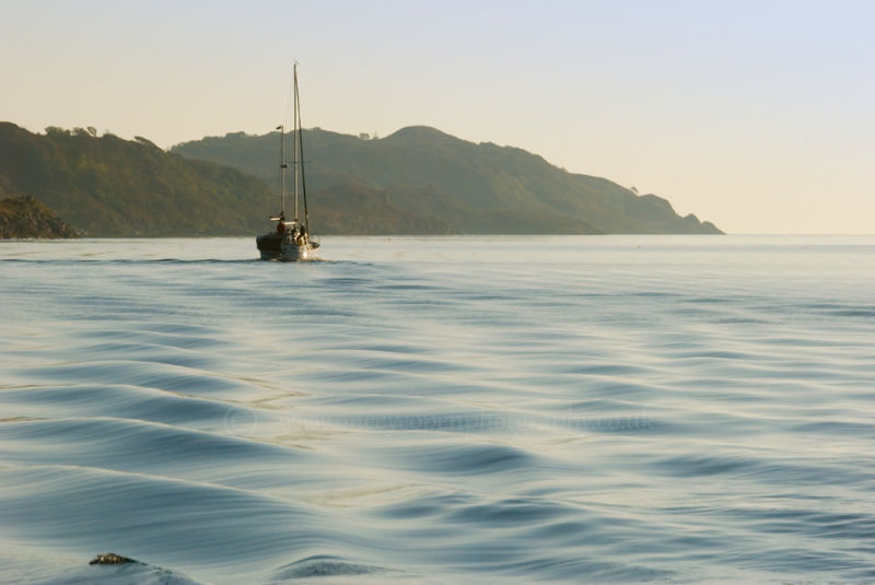 Ardfern sail