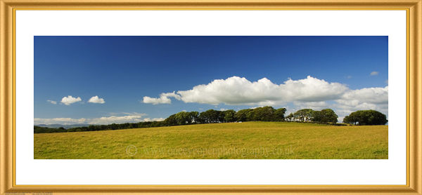 Summer Cloud.