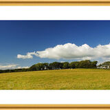 Summer Cloud.