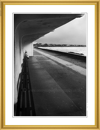 Shelter.