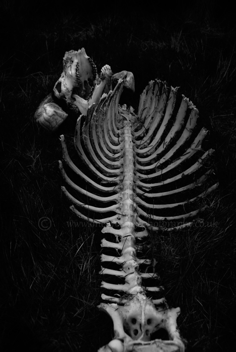 To the bone