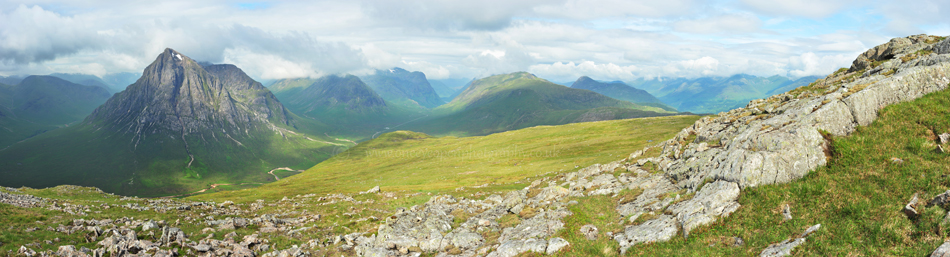 My midsummer view 2014