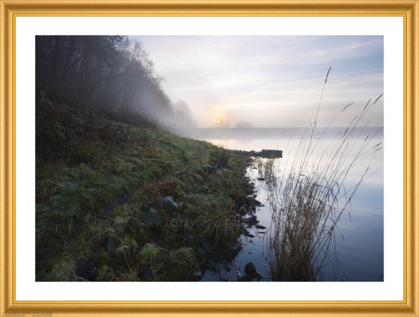 Mist on the water...