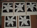 Black and White Lilies - commission