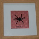 'Spider'