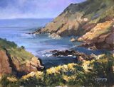 Cliff top, Solva by Alison Hemingway
